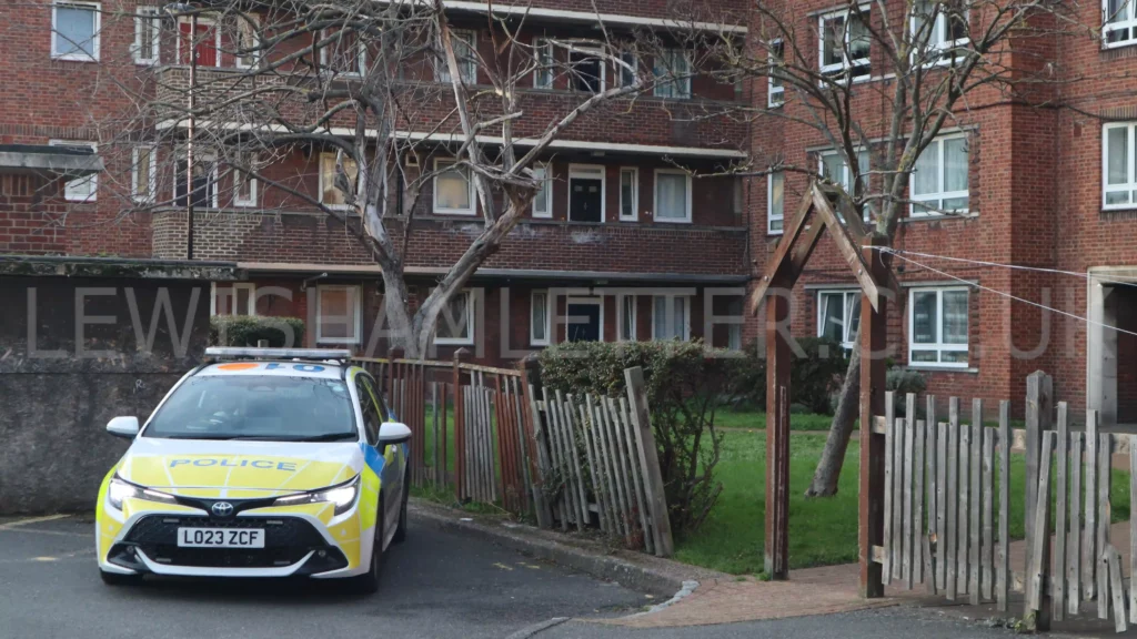 Police at Maple House