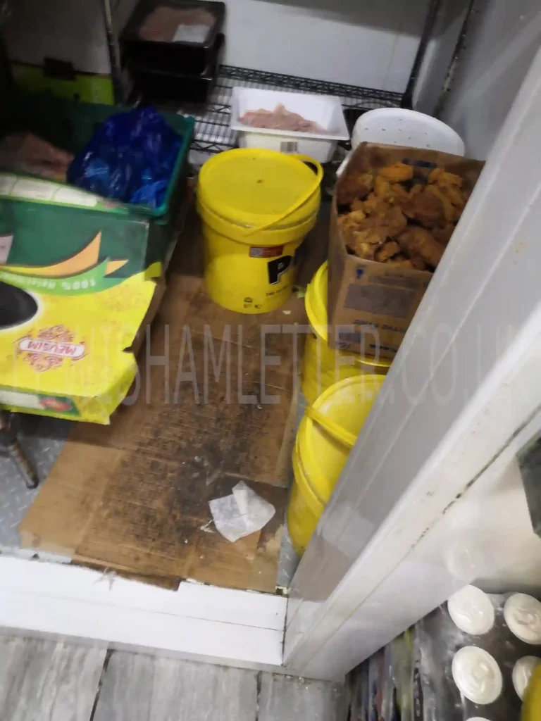 This image shows raw chicken was kept in an open container next to cooked chicken