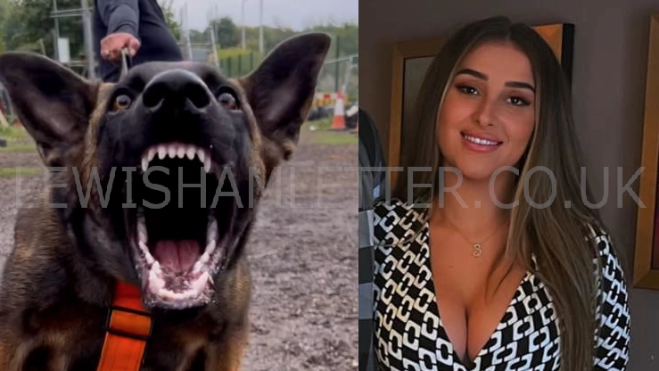 Dog trainer brags about her “absolute beast” before Deptford attack