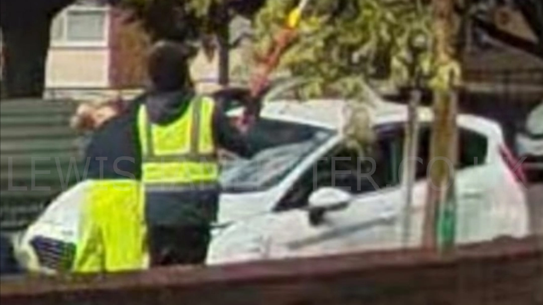 Moment ‘tree thieves’ cut down branches after cherry blossom raids
