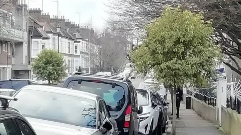 Both trees before the incident